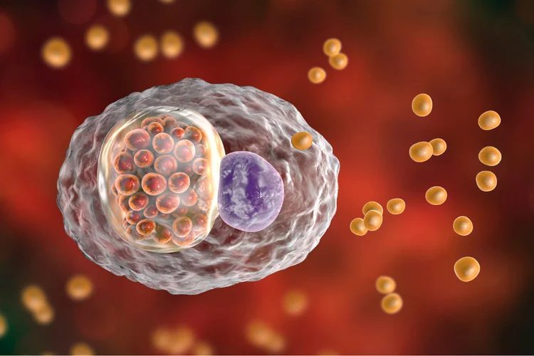 3D illustration of Chlamydia trachomatis bacteria transmitting Lymphogranuloma Venereum (LGV).