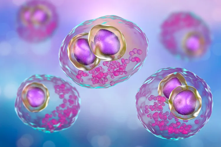 3D illustration of Cytomegalovirus (CMV) cells representing how CMV remains latent in the human body.