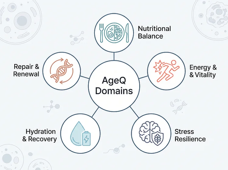 Diagram of the five AgeQ domains: nutrition, energy, stress, hydration, repair.