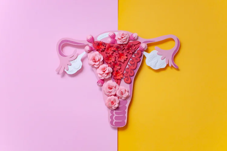 Artistic uterus illustration with flowers representing Polycystic Ovary Syndrome (PCOS) awareness.