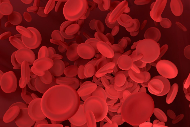 Illustration of red blood cells moving in a blood vessel.