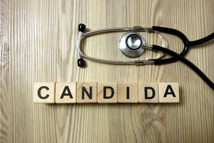 Candida causing penile yeast infection.