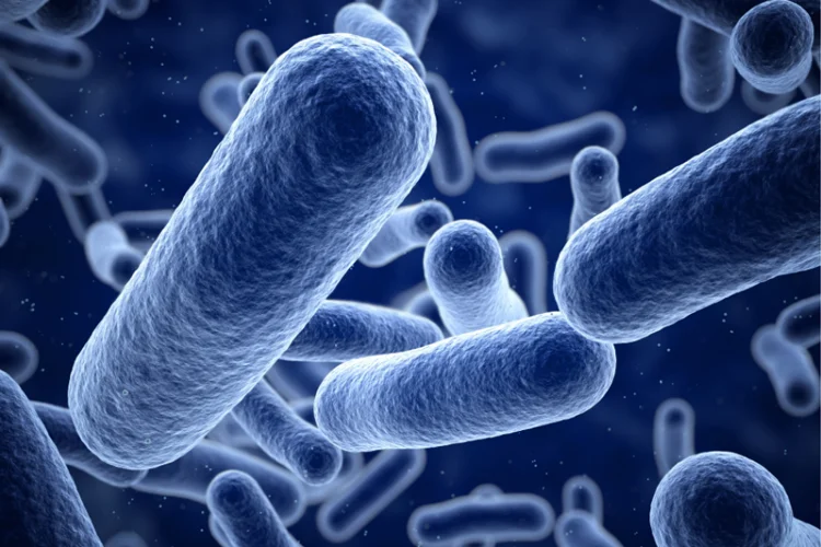 Close-up 3D illustration of bacteria or microorganisms under a microscope related to gastrointestinal infections that can cause diarrhoea.