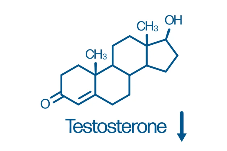 Gradual decline in testosterone in men over 40.