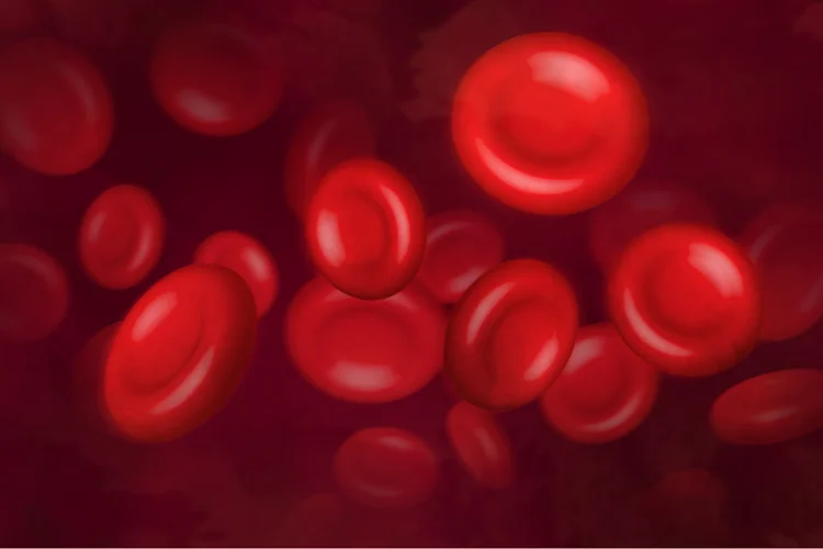 Red blood cells contain haemoglobin, a protein that carries oxygen to tissues, produced by the body using iron.