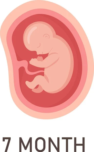 STDs and pregnancy of an illustration of a baby in an embryo for 7 months.