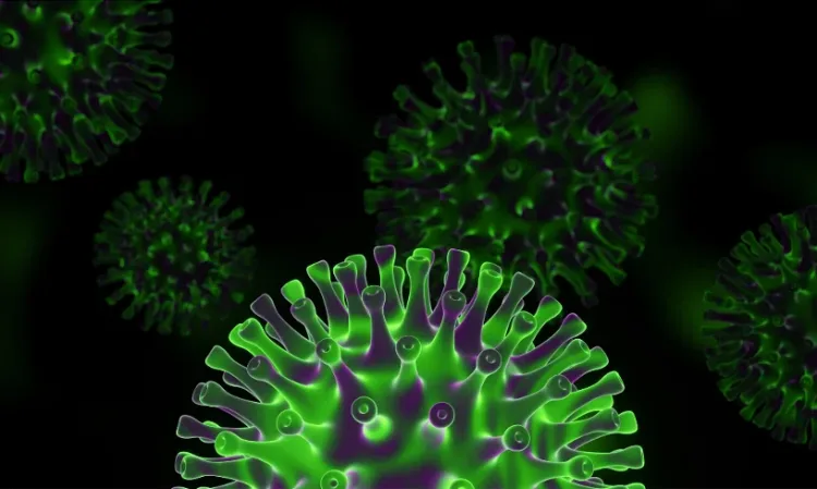 Omicron JN.1 变种的 3D 病毒示意图