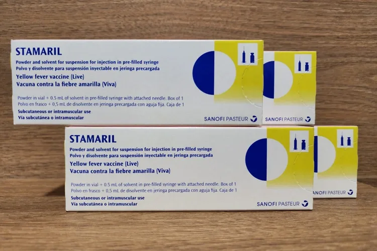 木桌前叠放着四盒 Stamaril 黄热病疫苗的包装盒